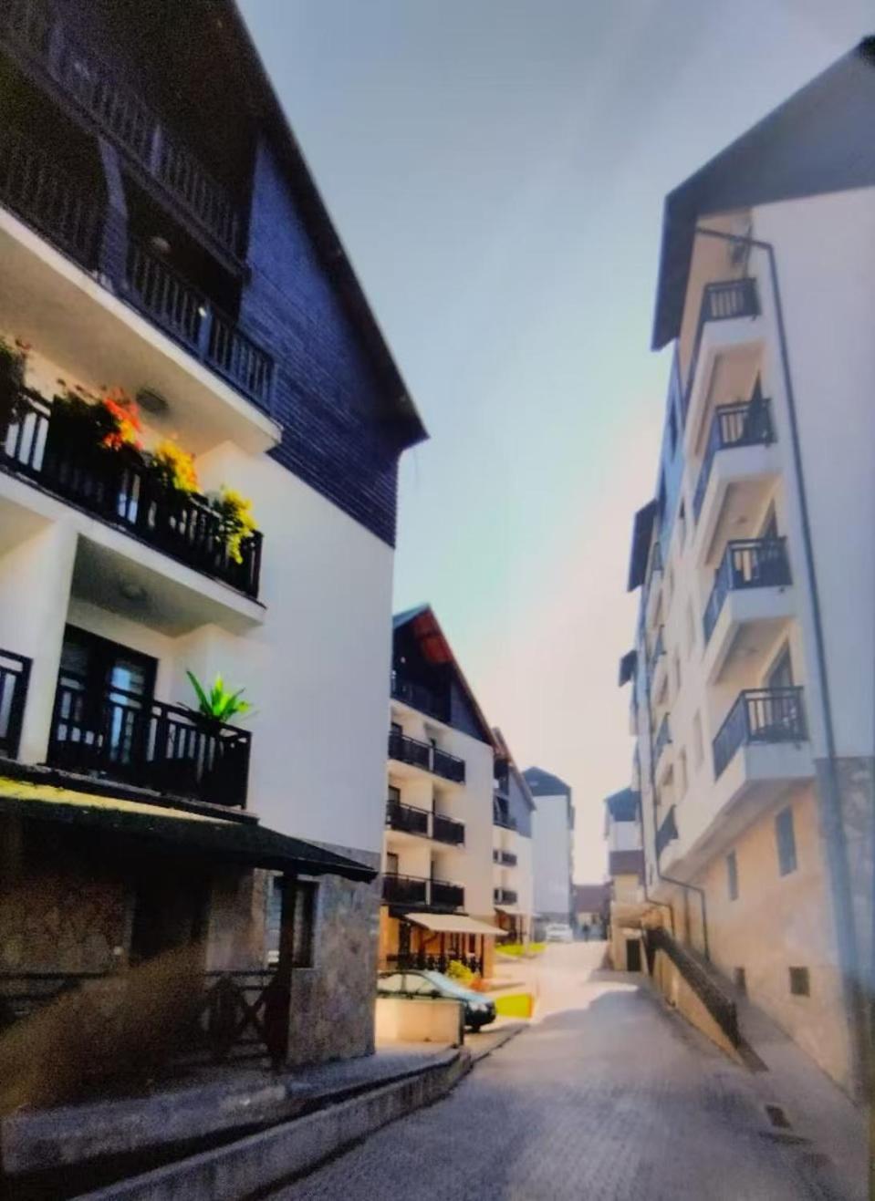 Beli Apartman U Zlatiborskim Konacima Bele Vode Bb Bagian luar foto